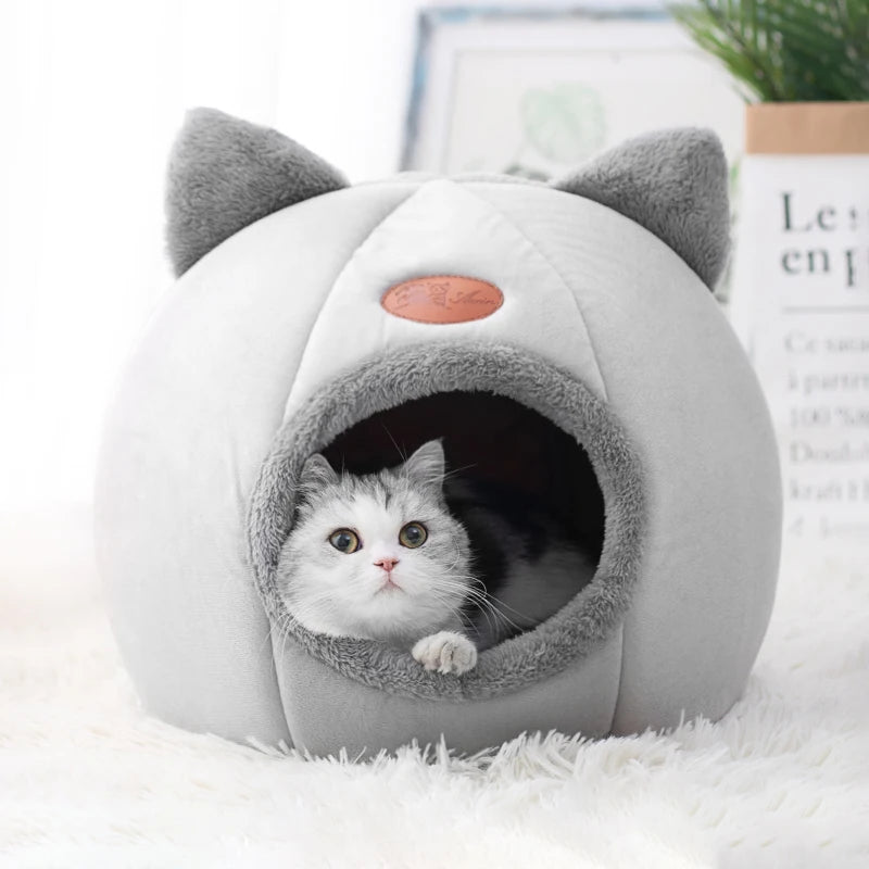 Casa Encantada para Gatos - Ninho Conforto